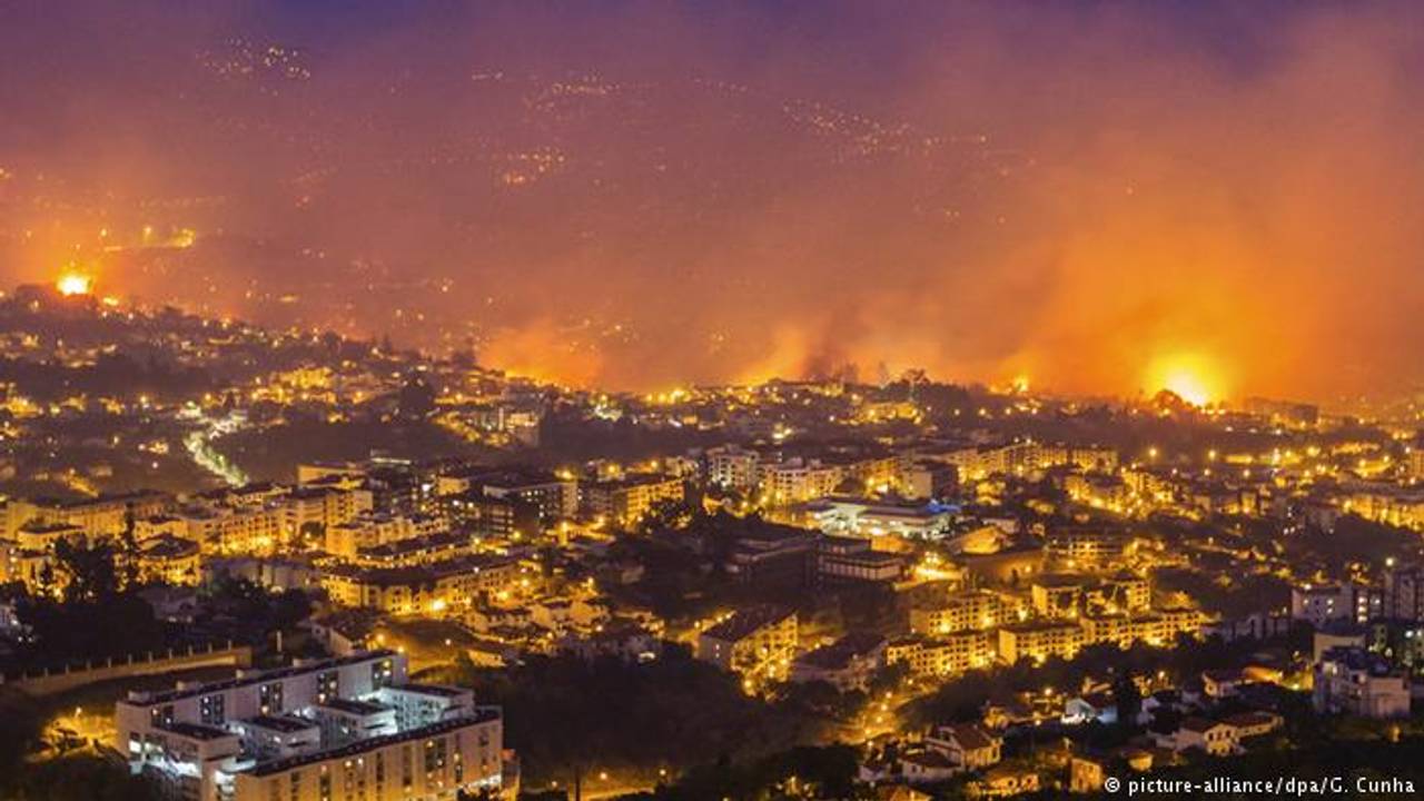 У Португалії судитимуть чиновників через смертоносні пожежі