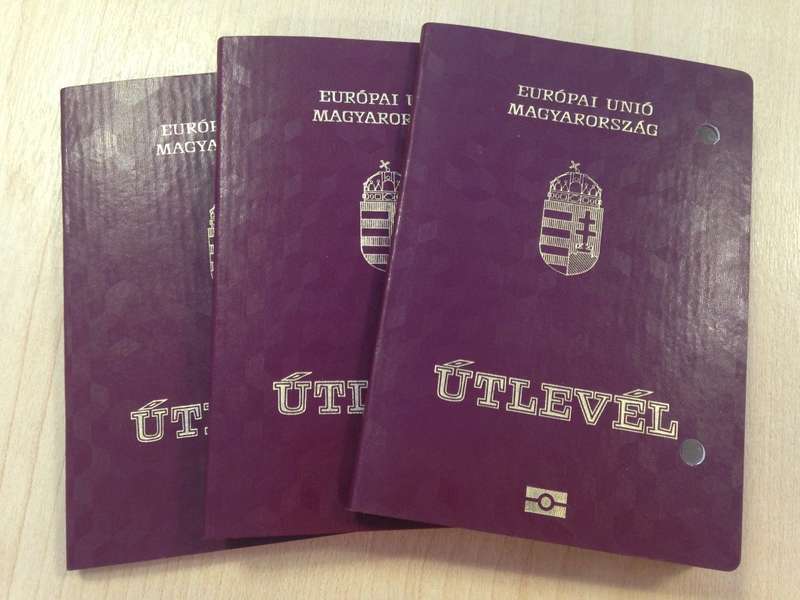 Видача угорських паспортів на Закарпатті: порушено справу про державну зраду