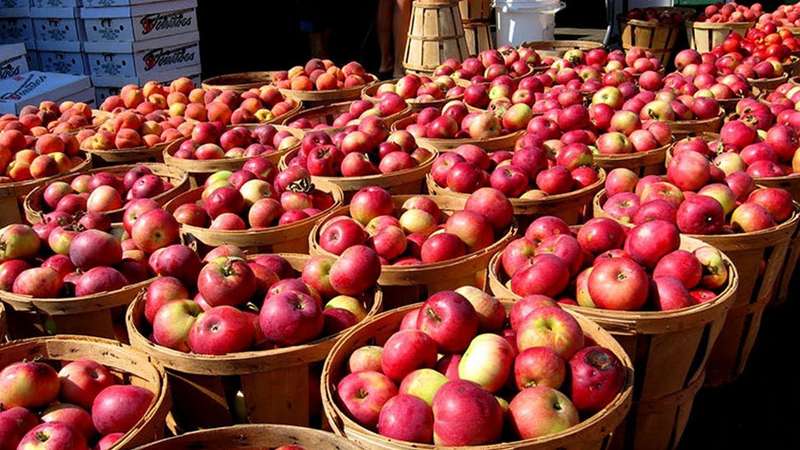 Аналітик розповів, якими будуть ціни на яблука