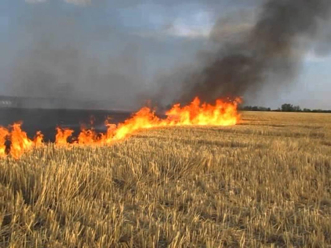 Супрун застерегла від небезпечної осінньої традиції