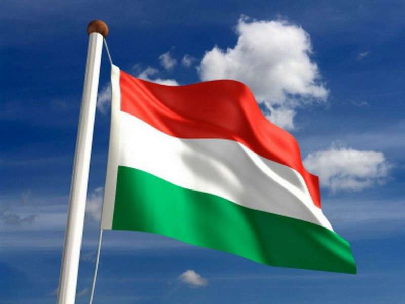 Угорська організація поширює фейк про переслідування нацменшин в Україні 