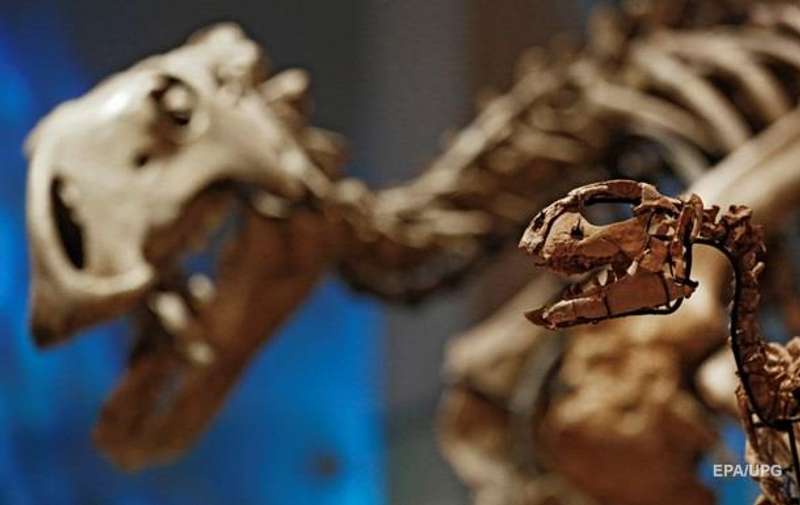 У пустелі Азії знайшли великий скелет динозавра