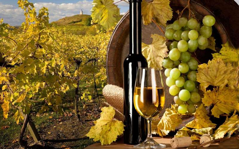 Секрети приготування ароматного вина у домашніх умовах