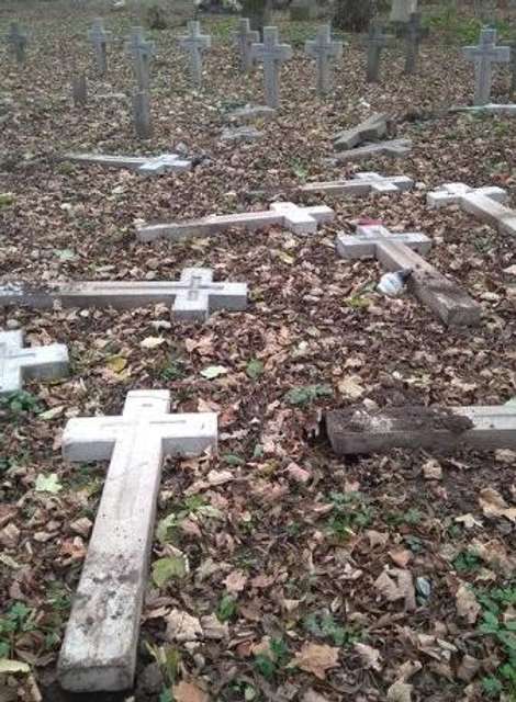 Провокація на польському цвинтарі в Коломиї
