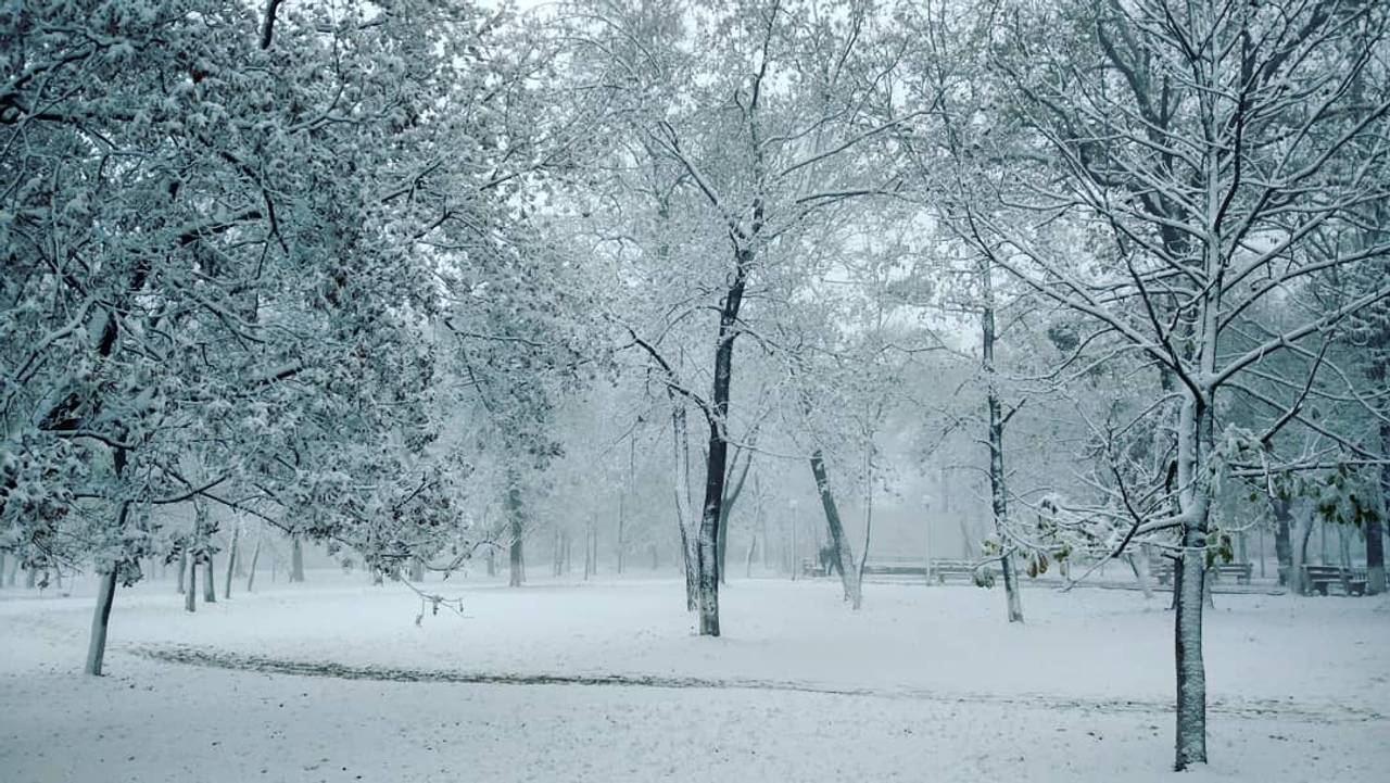 У мережі опублікували фото, як Крим засипало снігом