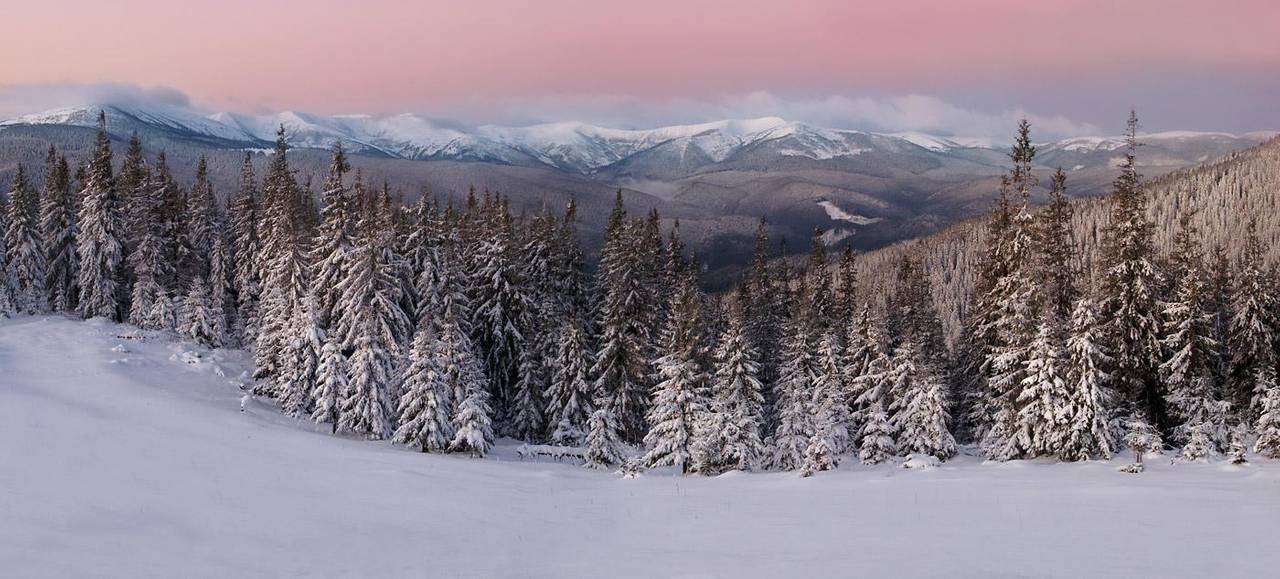 Снігова казка: неймовірні фото зимових Карпат