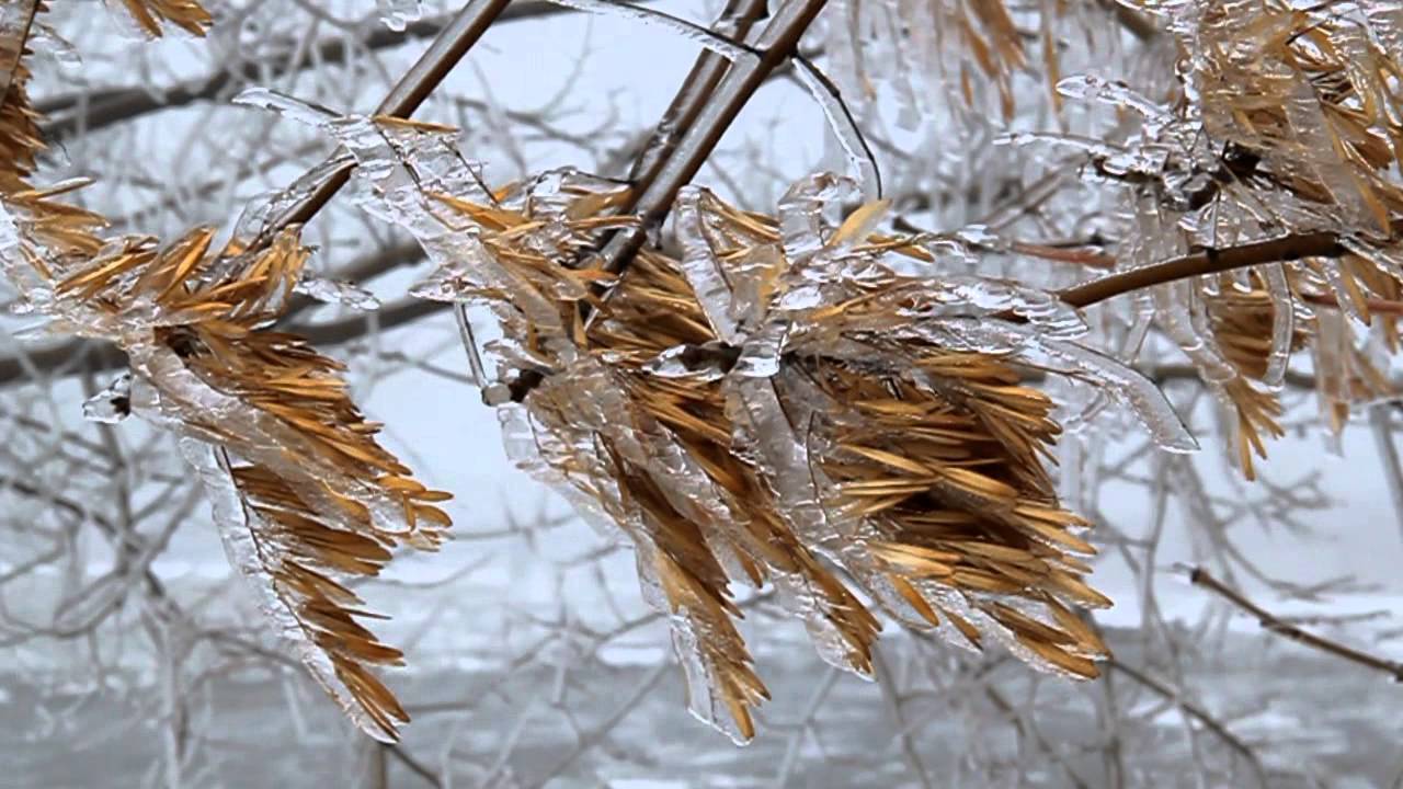 Тріскучий мороз та снігопади: що обіцяють синоптики на останній день осені