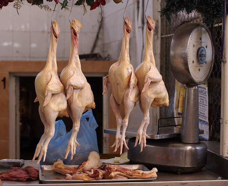 Україна знову експортуватиме курятину до Сінгапуру