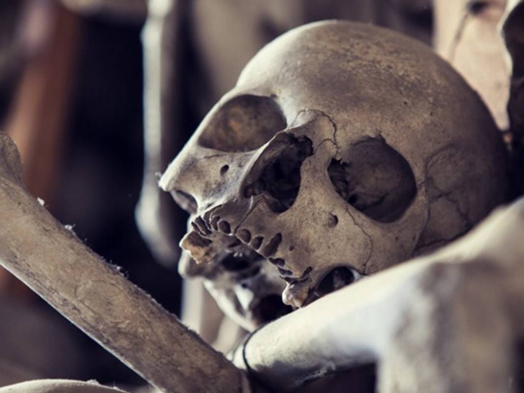 В Одесі знайшли цистерну з двома людськими скелетами