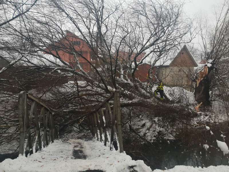 Через падіння дерева у Хусті обвалився пішохідний міст