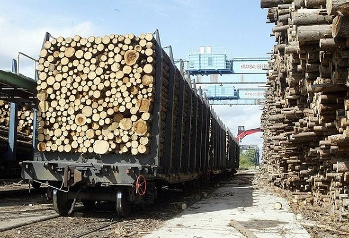 Віднині в Україні суворіше каратимуть за контрабанду лісу