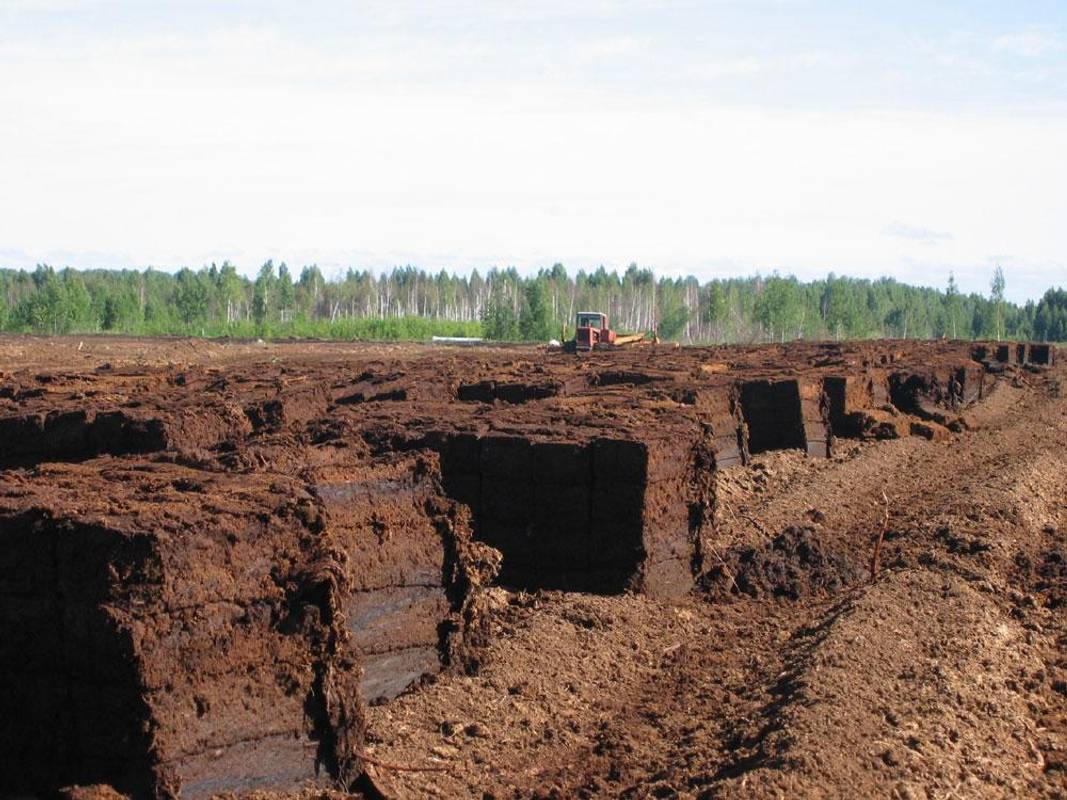 Торф замість газу: про плюси і мінуси такої ідеї
