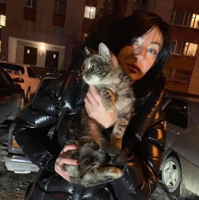 Кішку, яку підлітки скинули з 9-го поверху, знайшли. Тварина жива