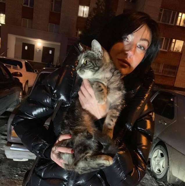 Кішку, яку підлітки скинули з 9-го поверху, знайшли. Тварина жива
