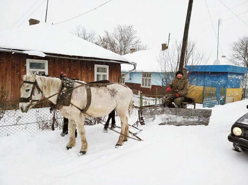 Запрягайте, хлопці, коней! Українські селяни придумали незвичний спосіб розчищання снігу (фото)
