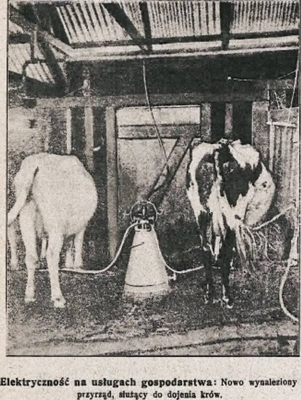 110 років тому з'явилися перші електричні машини для доїння корів