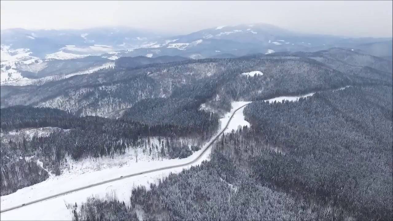 У Карпатах знайшли заблукалого іноземця