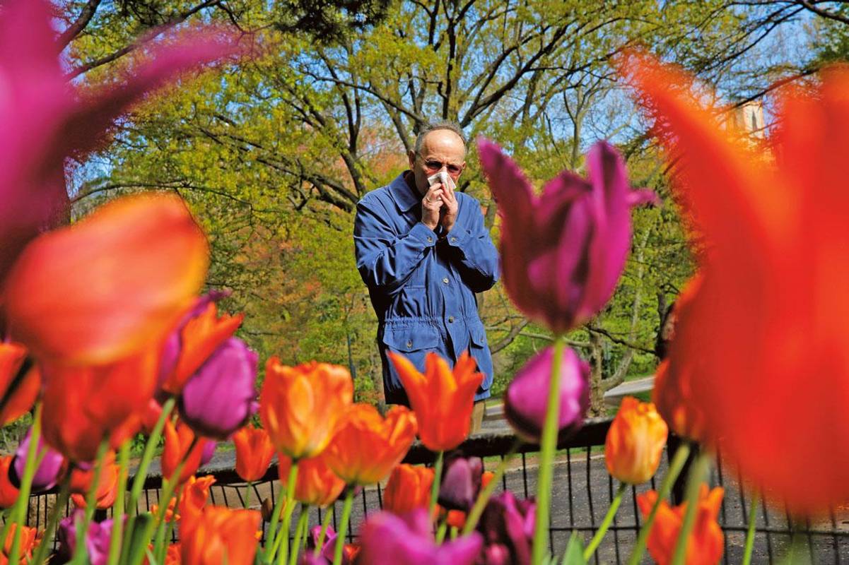 Весна без сліз і нежитю: як підготуватись до сезону алергії