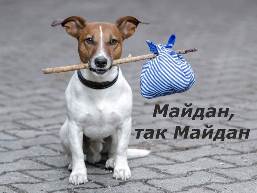 /storage/2020/02/03/image/md_SRpc_epzhufaxkaei-dw-1.jpeg
