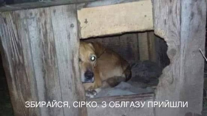 /storage/2020/02/03/image/md_oKSL_83867002-1563074280498615-4326421931373887488-n.jpeg