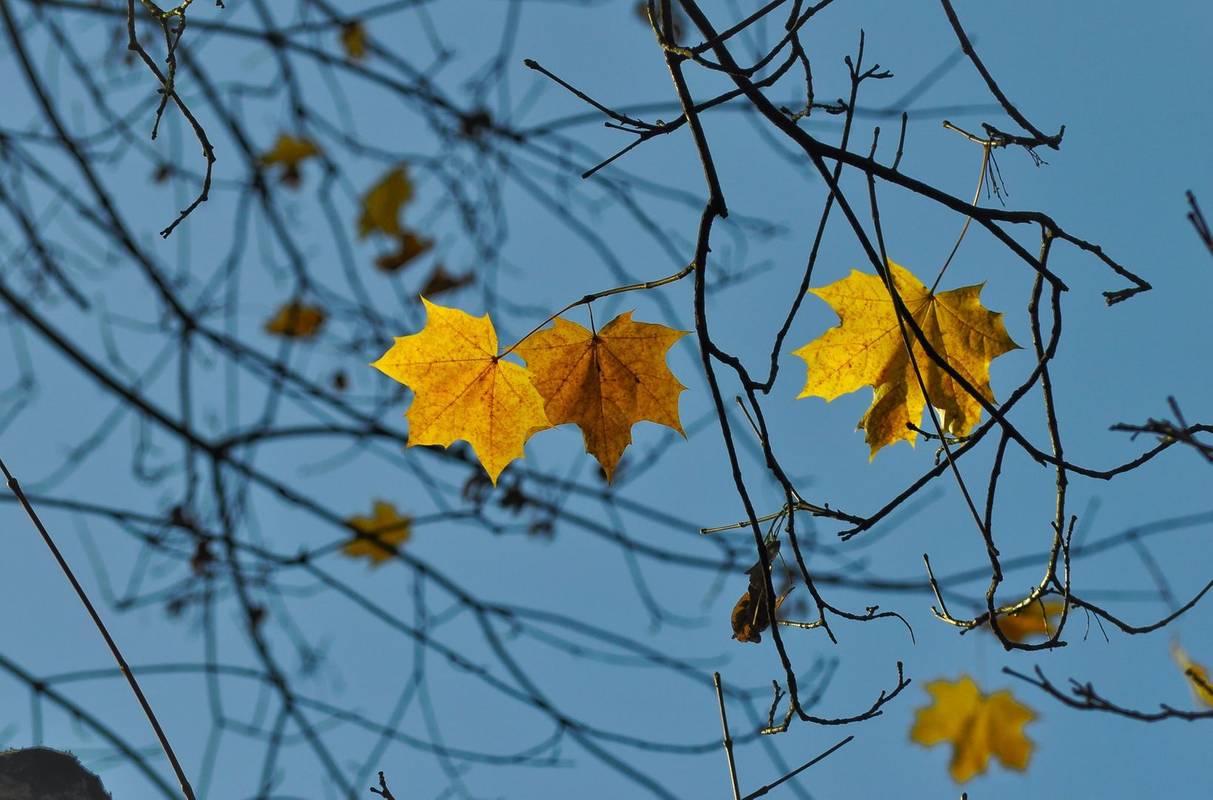 Фото unsplash.com