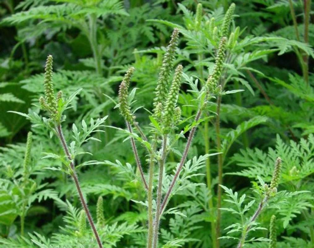 Фото dpsscn.gov.ua