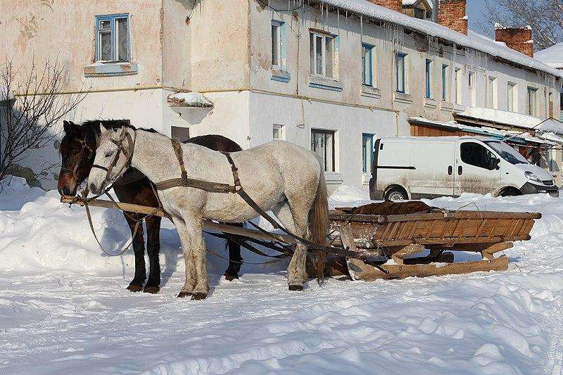 Фото ілюстративне wikipedia.org