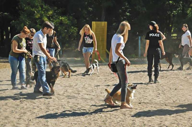 Фото з архіву Школи службового собаківництва Міжнародної поліційної корпорації