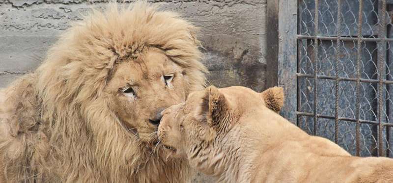 Фото зі сайту Одеського зоопарку