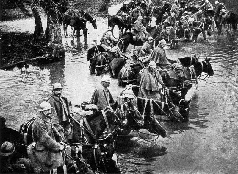 Фото en.wikipedia.org/wiki/Battle_of_Verdun