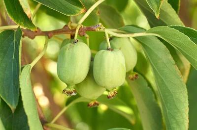 Фото depositphotos.com