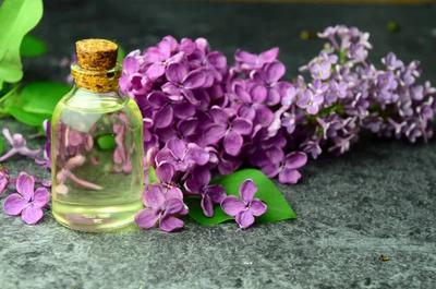 Фото depositphotos.com