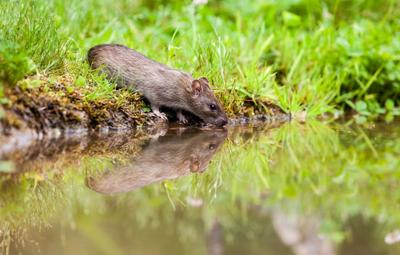 Фото depositphotos.com