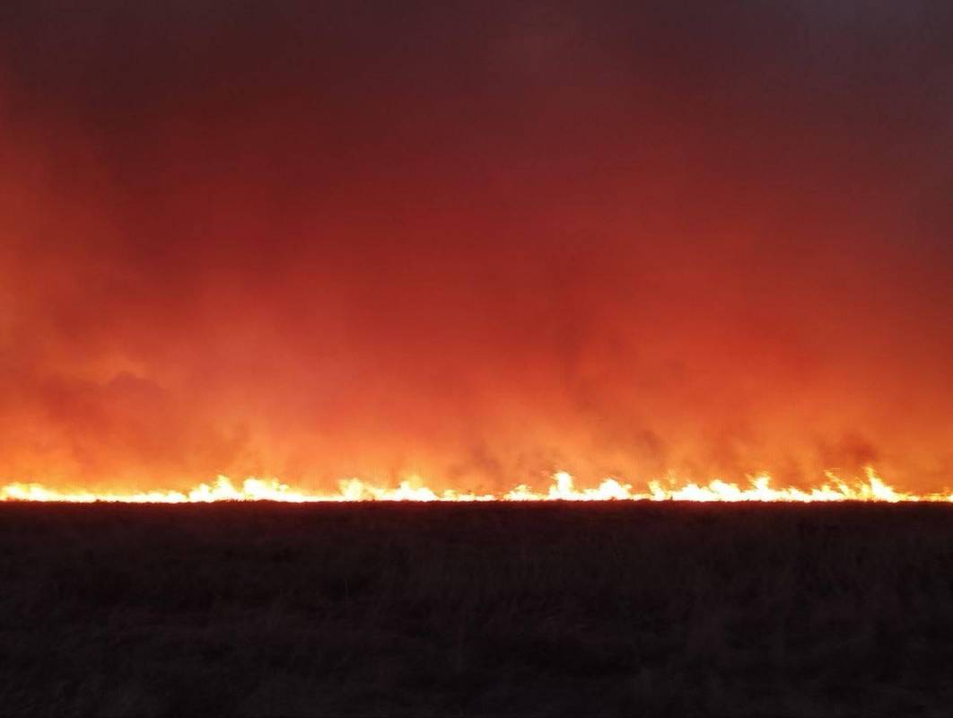Масштабна пожежа у заповіднику Асканія-Нова: горять тисячі гектарів степу