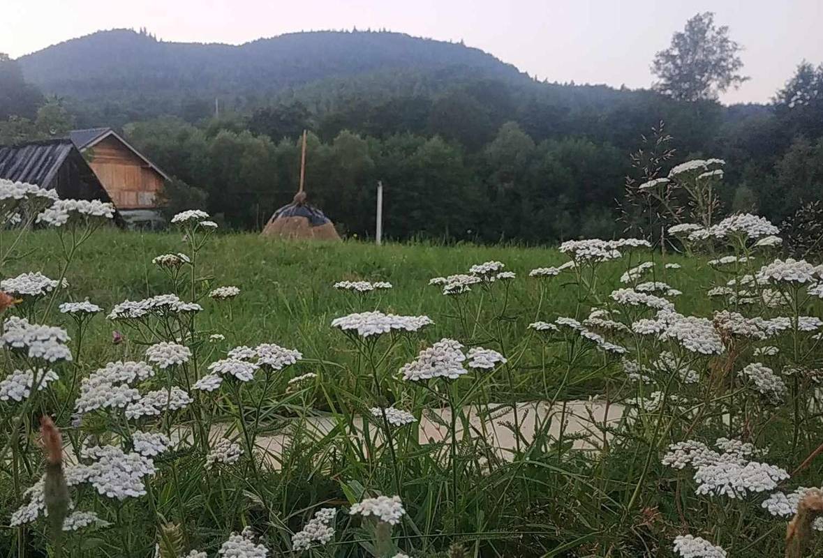 Фото Богданни МАРТИНИК