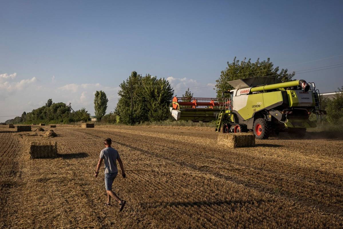 Україна озвучила заборону у відповідь на зернове ембарго. Дуже зухвалий крок
