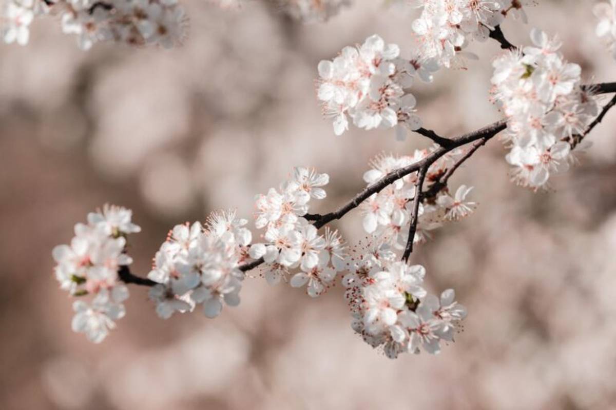 Фото unsplash.com
