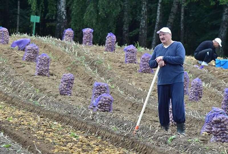 Фото: т-к Кримський вітер