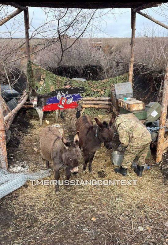 Фото: російські телеграм-канали