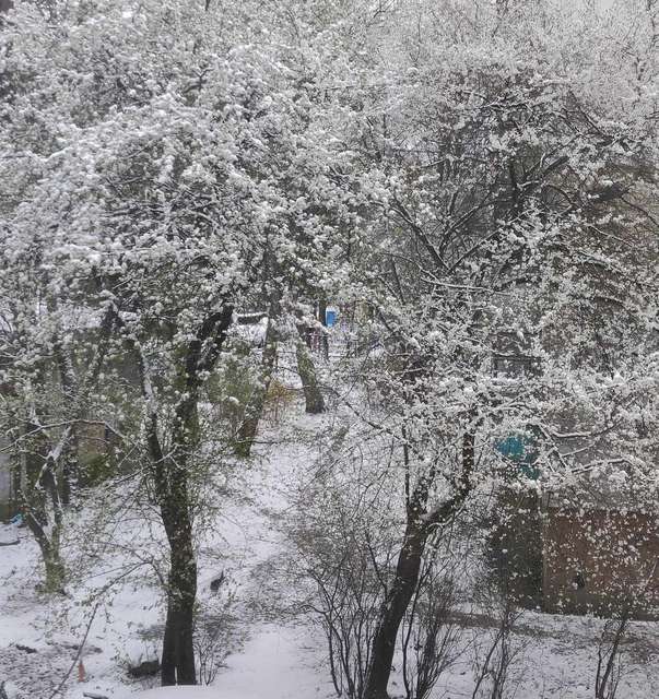 Фото Олени Ковальської