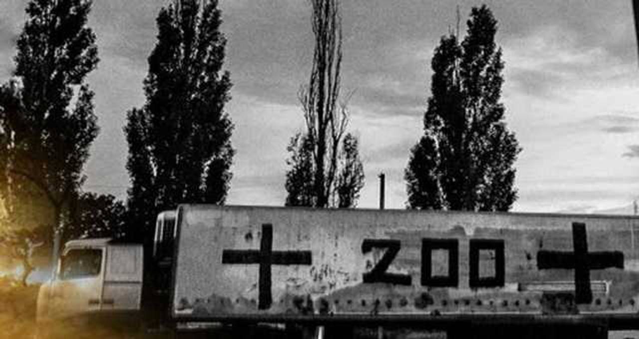 Фото: з відкритих джерел