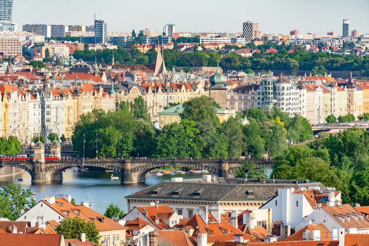 Фото: pexels.com (3)