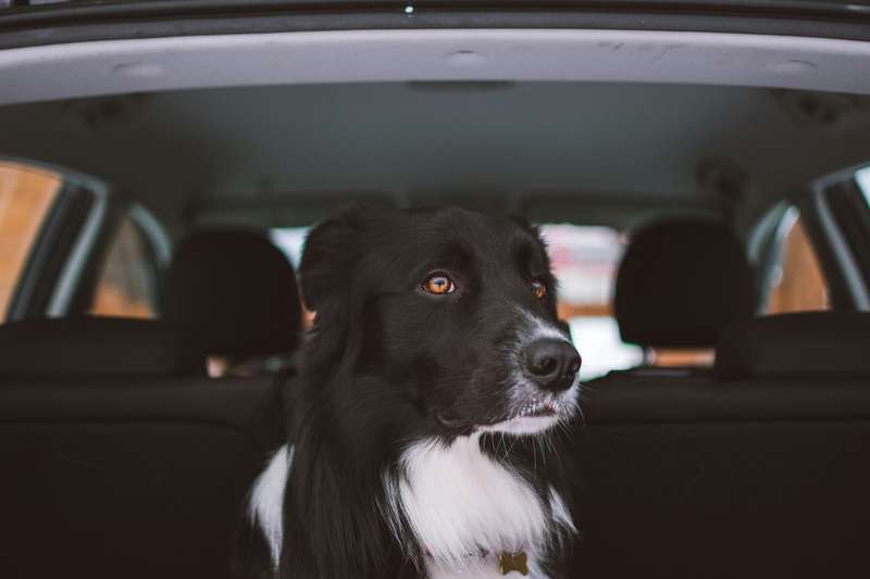 Фото unsplash.com