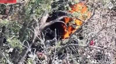 Скриншот з відео бригади Спартан