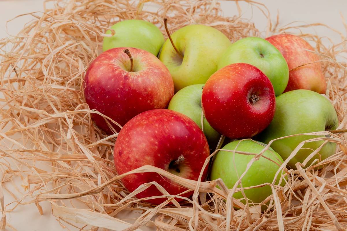 Фото freepik.com