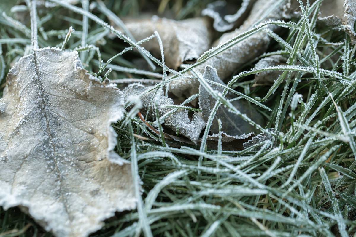 Фото freepik.com