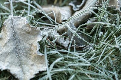 Фото freepik.com