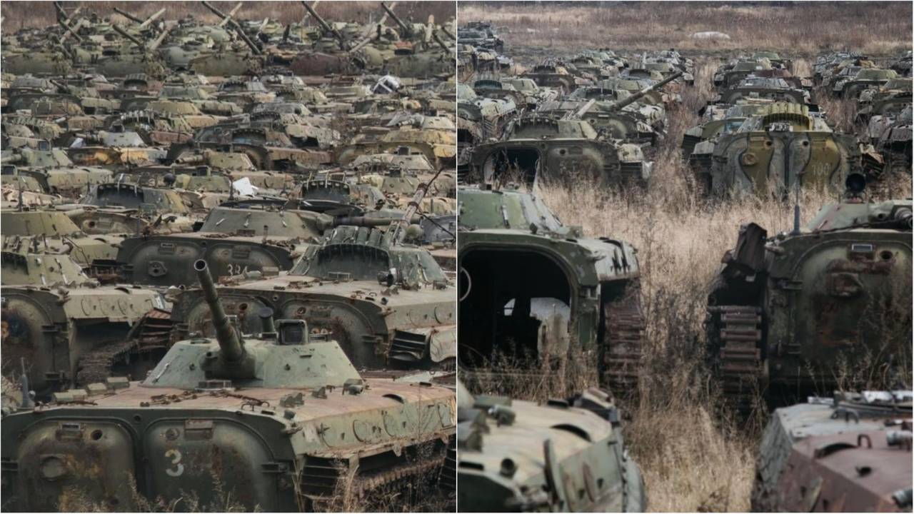 Фото: REDDIT