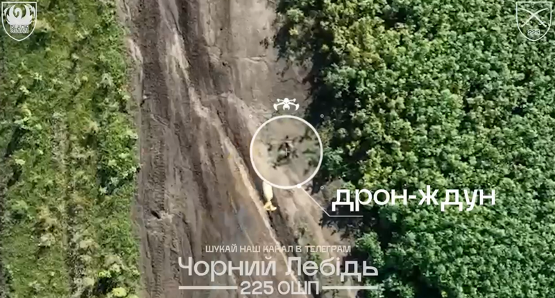 Фото: е-к Чорний лебідь