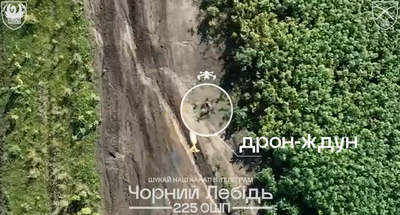 Фото: е-к Чорний лебідь